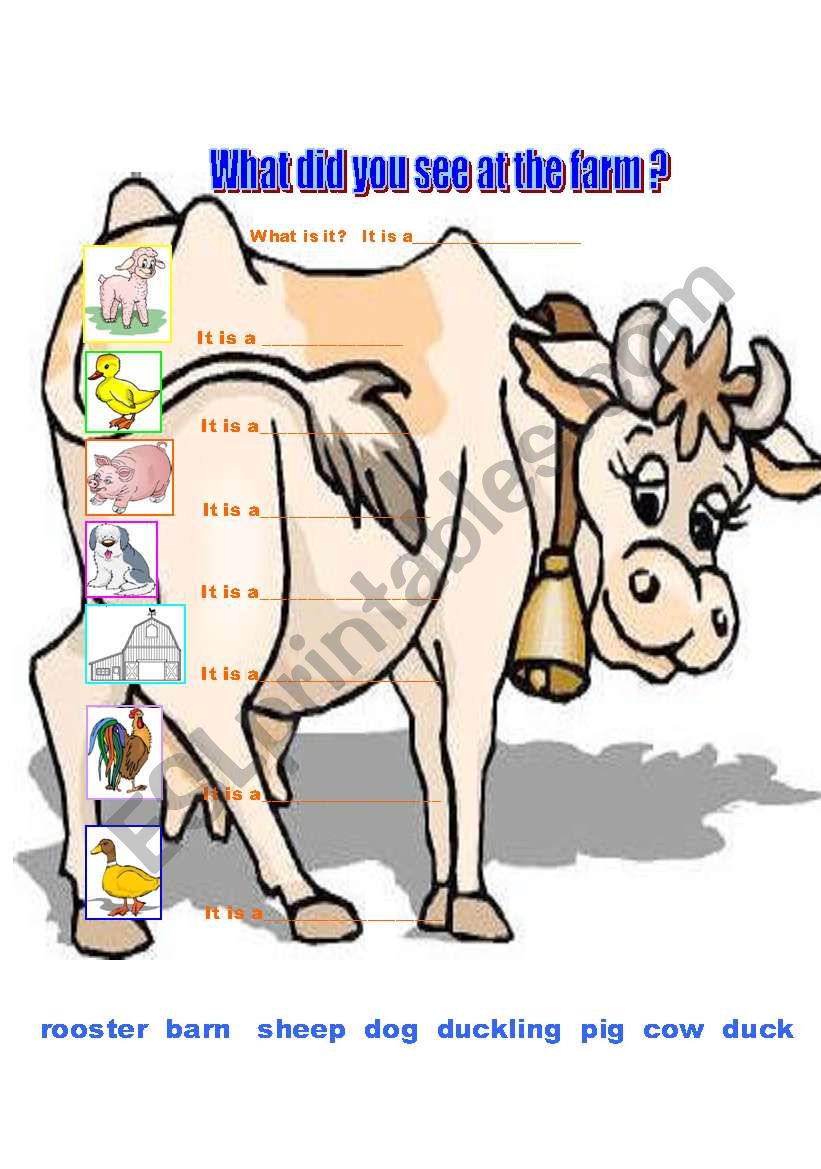 What did you see at the farm? worksheet