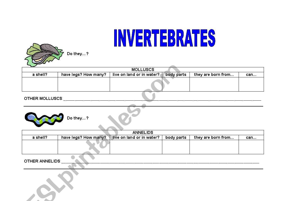 invertebrates 1 worksheet