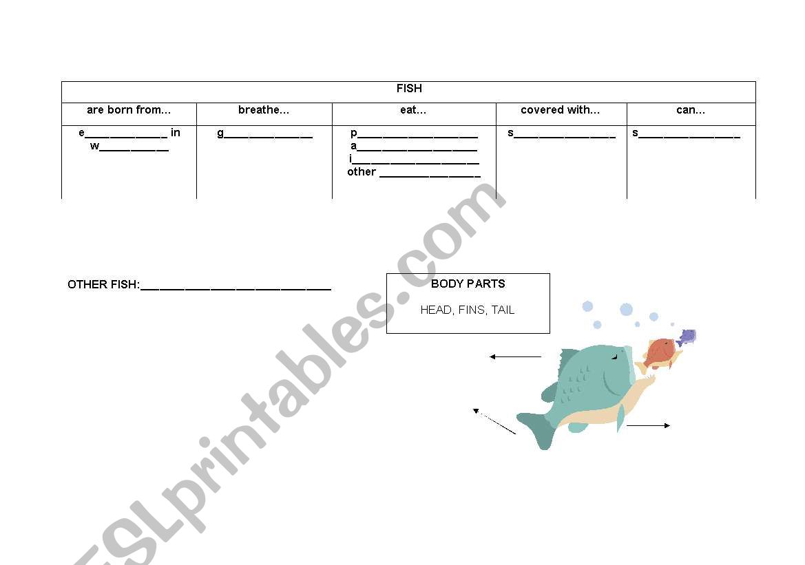 vertebrates 4 worksheet