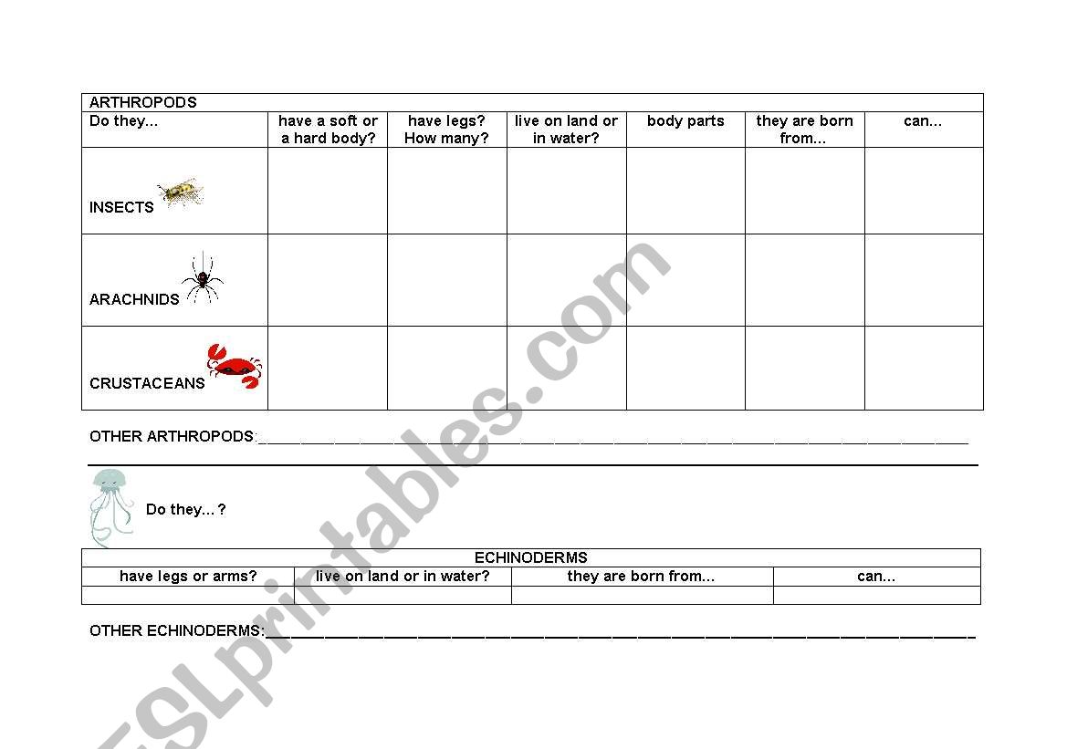 invertebrates 2 worksheet