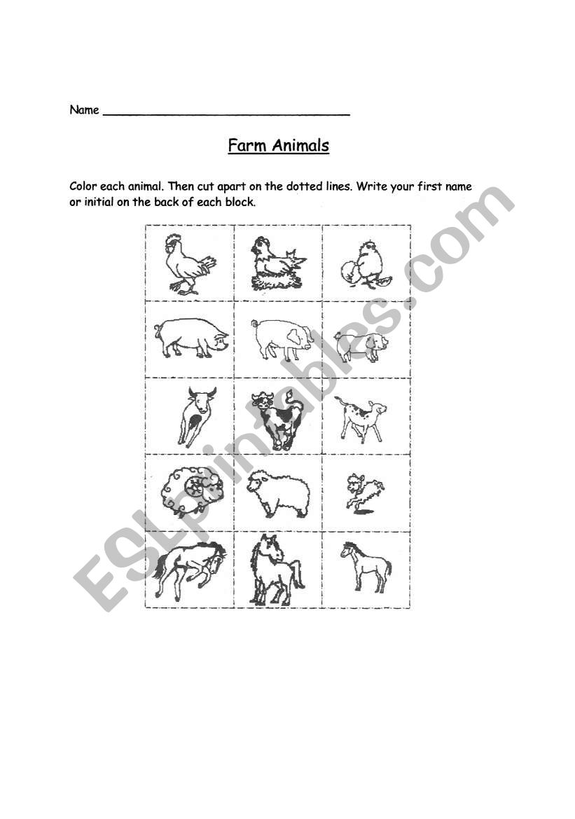 animals worksheet