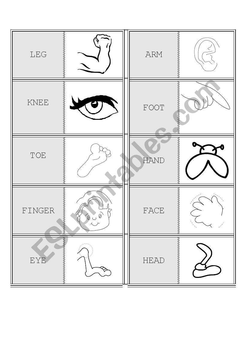 body dominoes b&w  worksheet