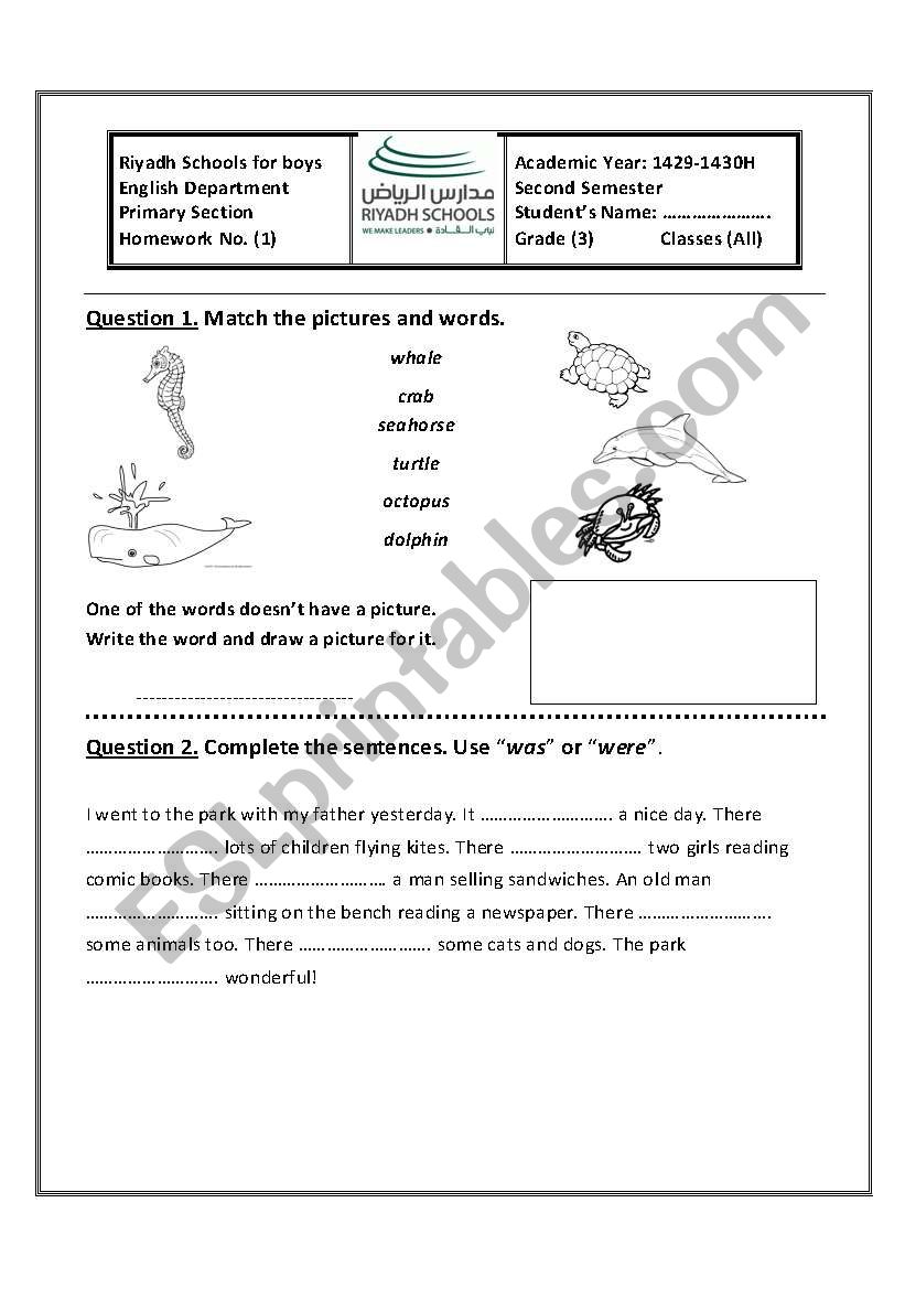 was were and sea animals worksheet
