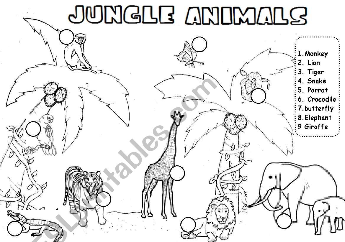 JUNGLE ANIMALS, READ AND NUMBER 