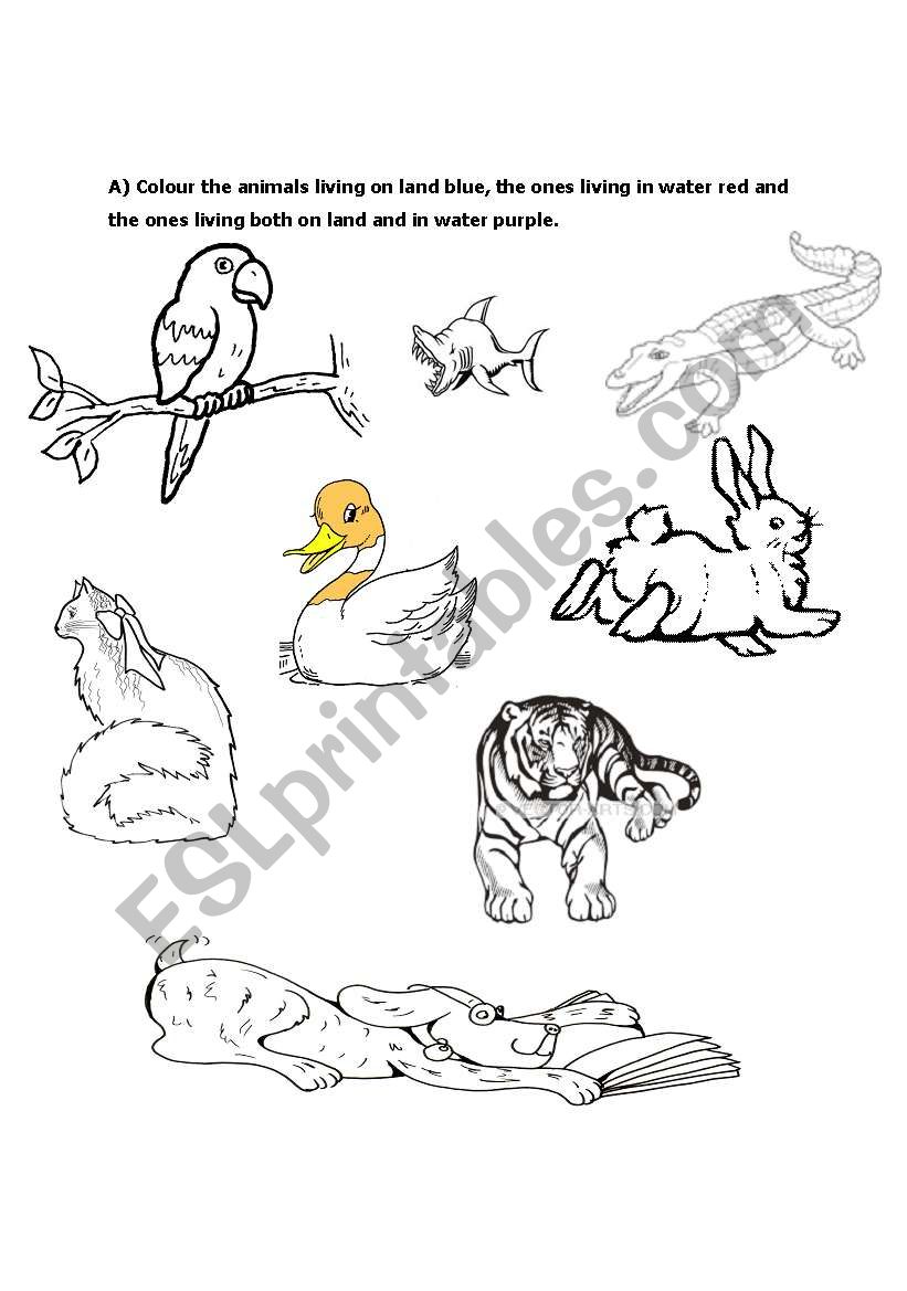 Animals worksheet