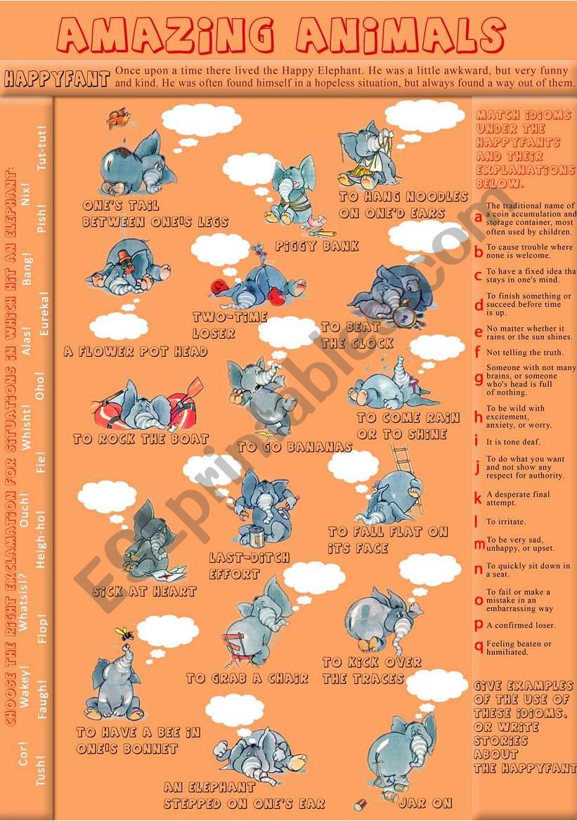 Amazing animals PART 5 worksheet