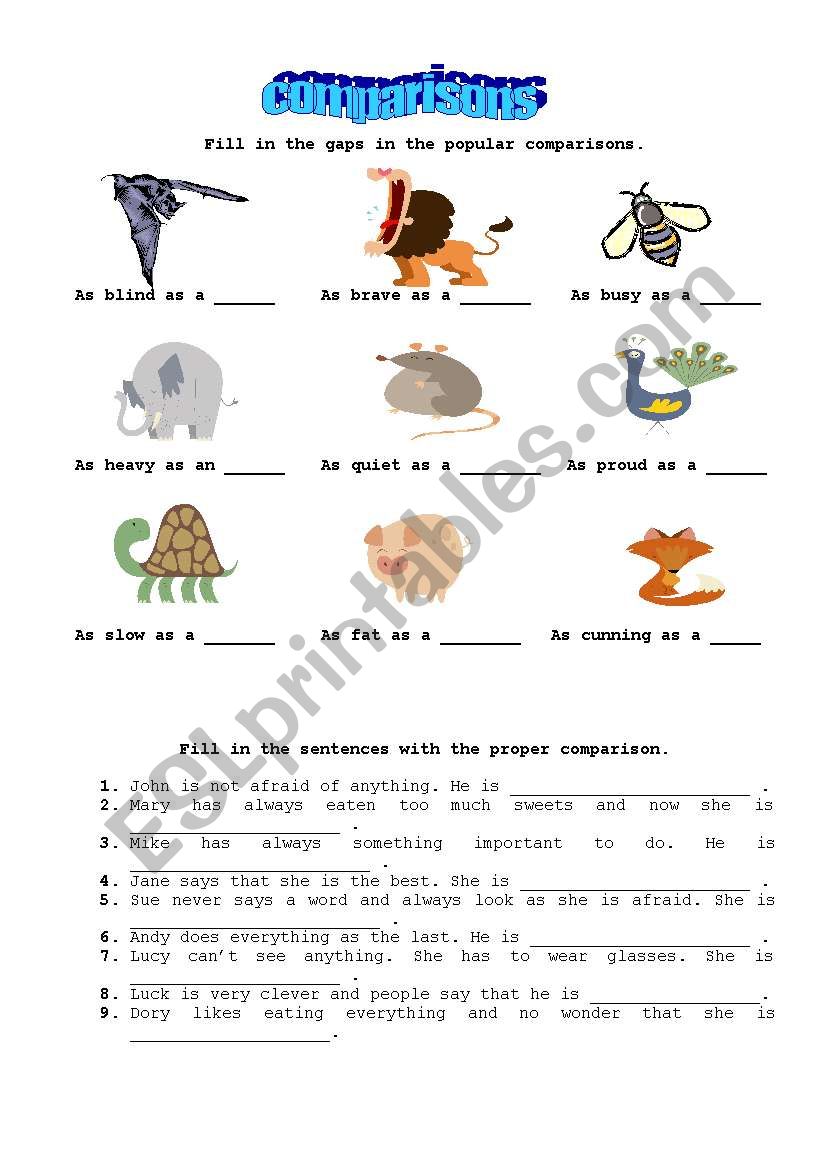 Animal comparisons worksheet