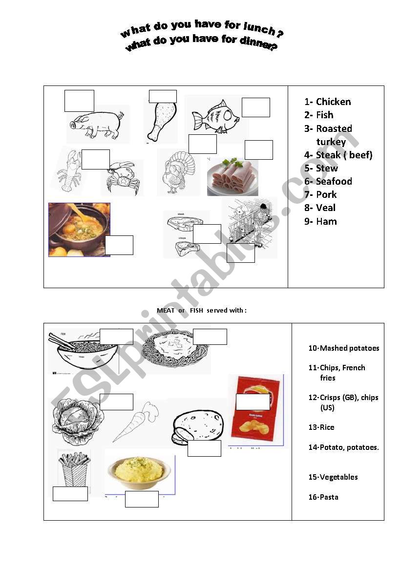 food worksheet