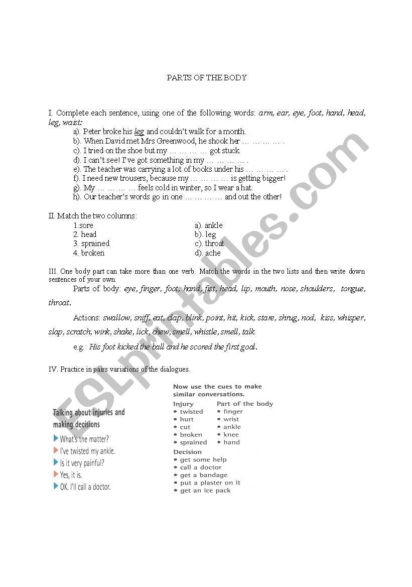 Parts of the body worksheet