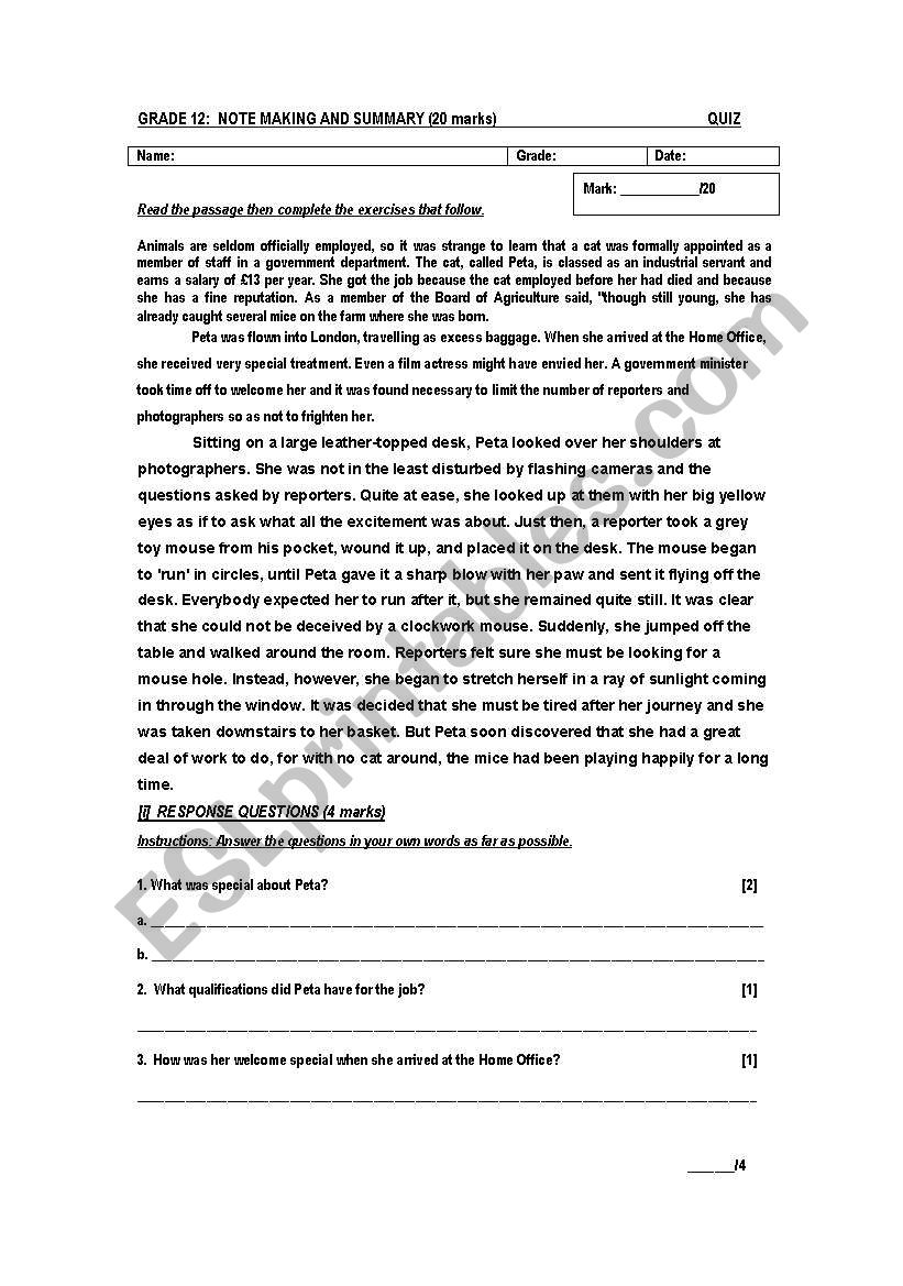 Peta - Summary worksheet