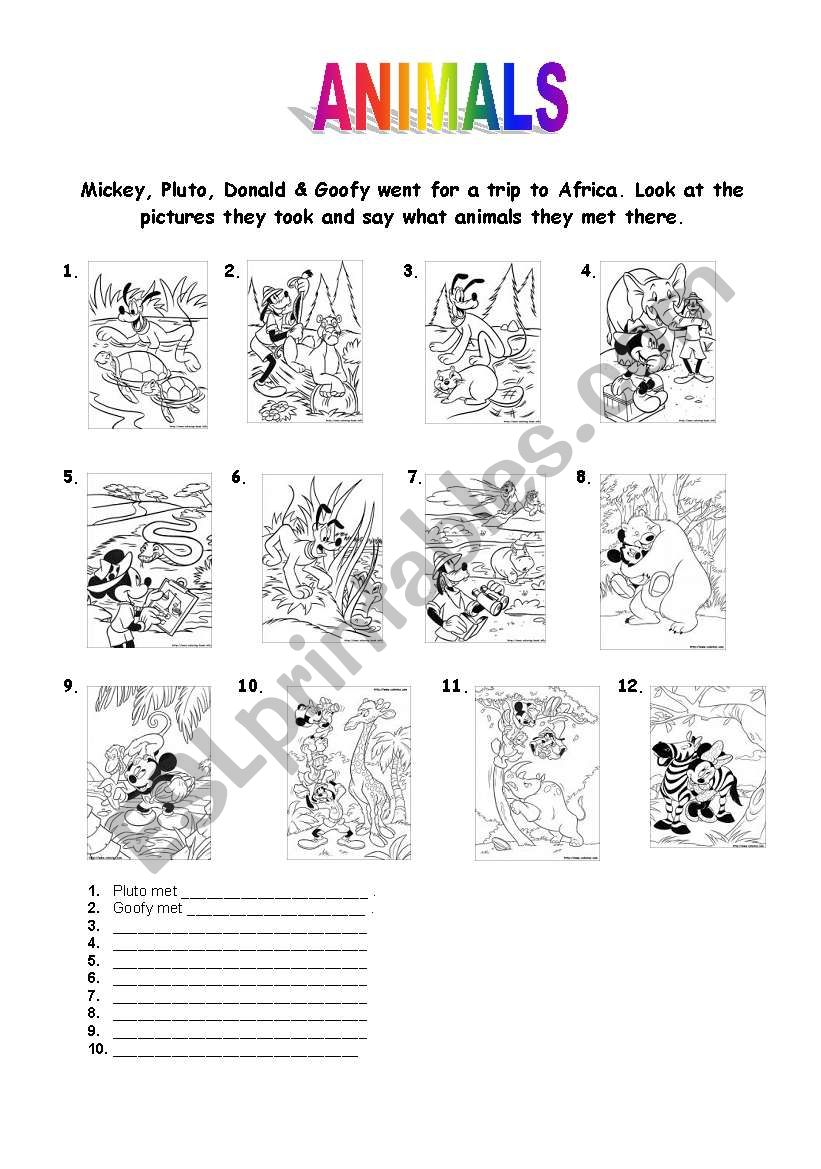 Animals worksheet