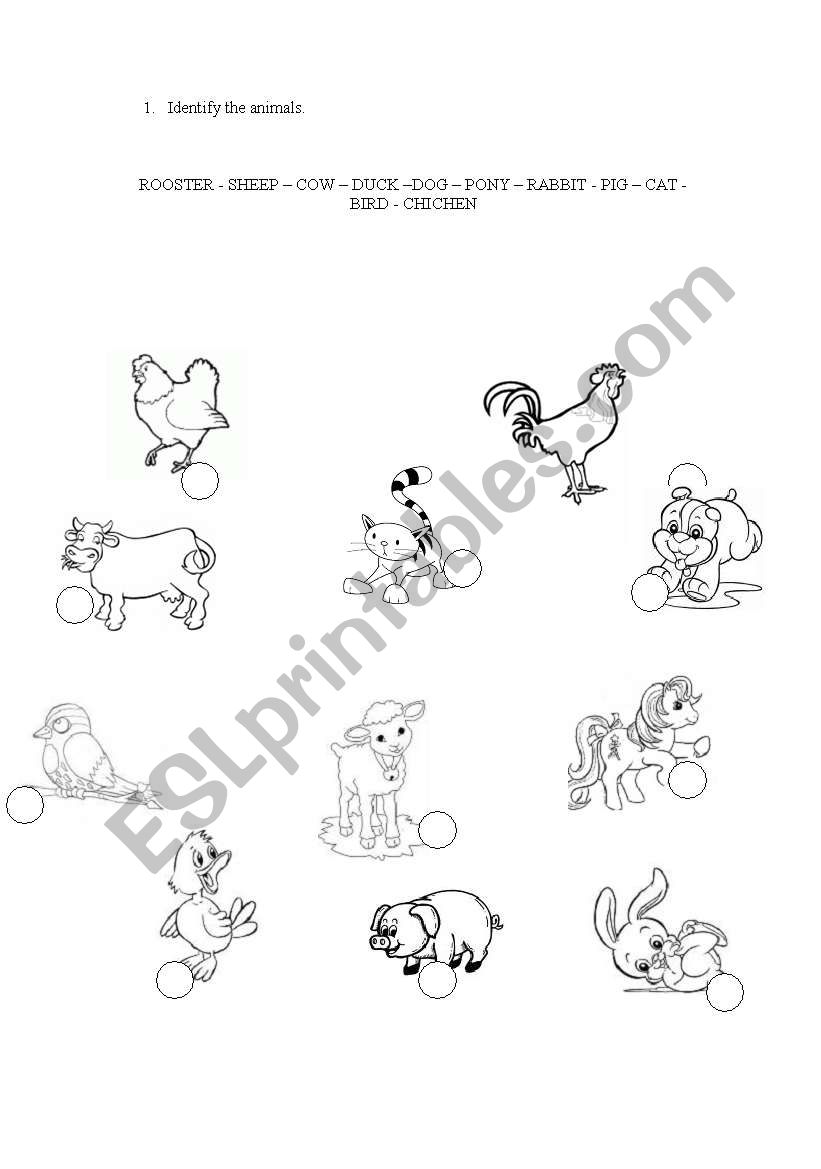 Animals worksheet