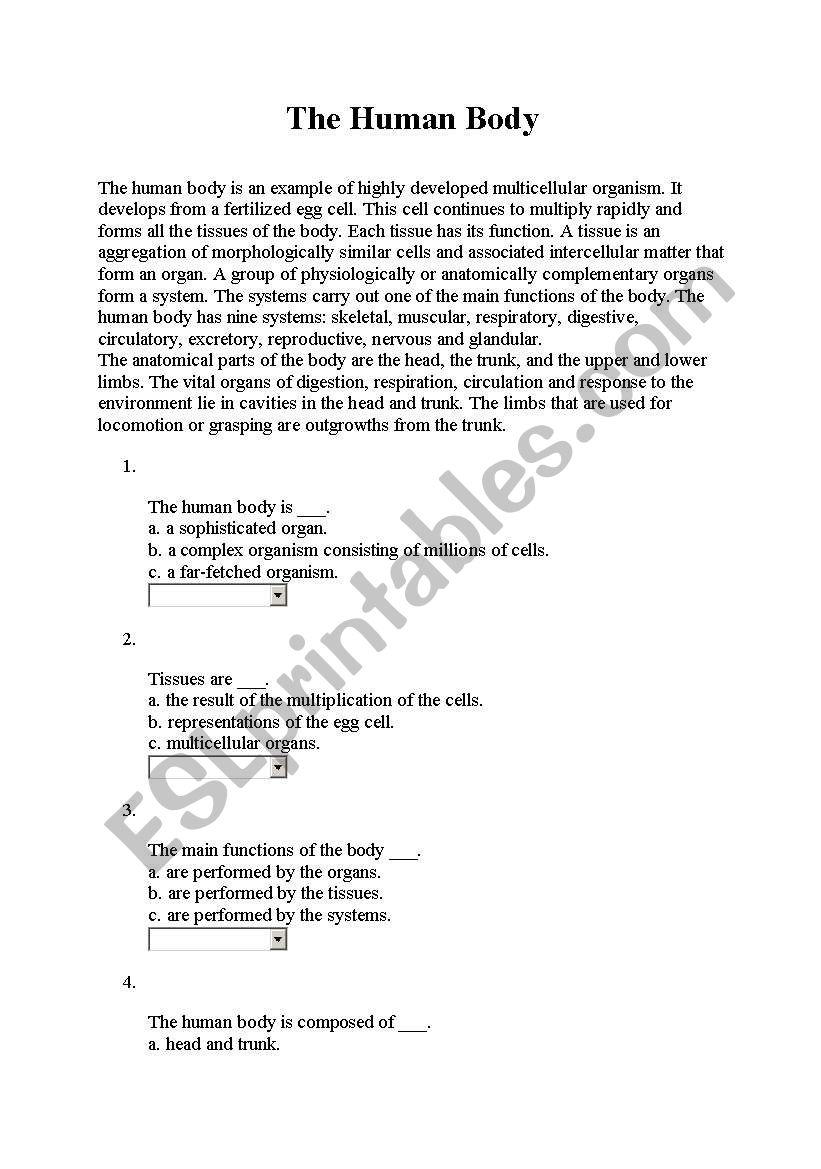 body parts reading worksheet