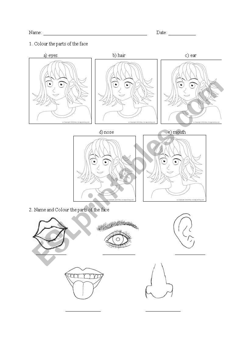 PARTS OF THE FACE worksheet