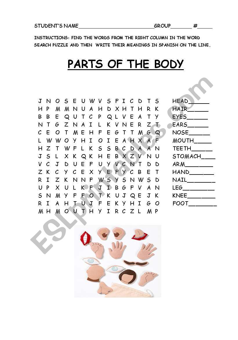 PARTS OF THE BODY worksheet