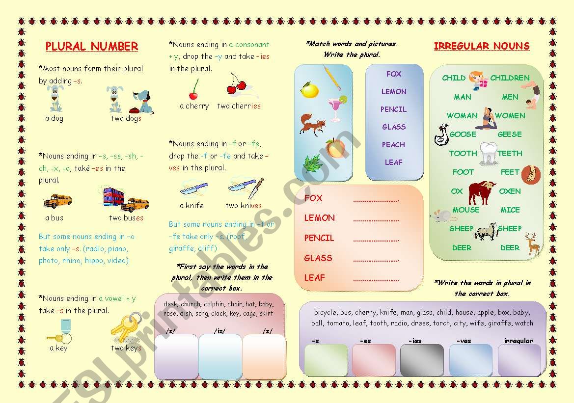 PLURALS worksheet