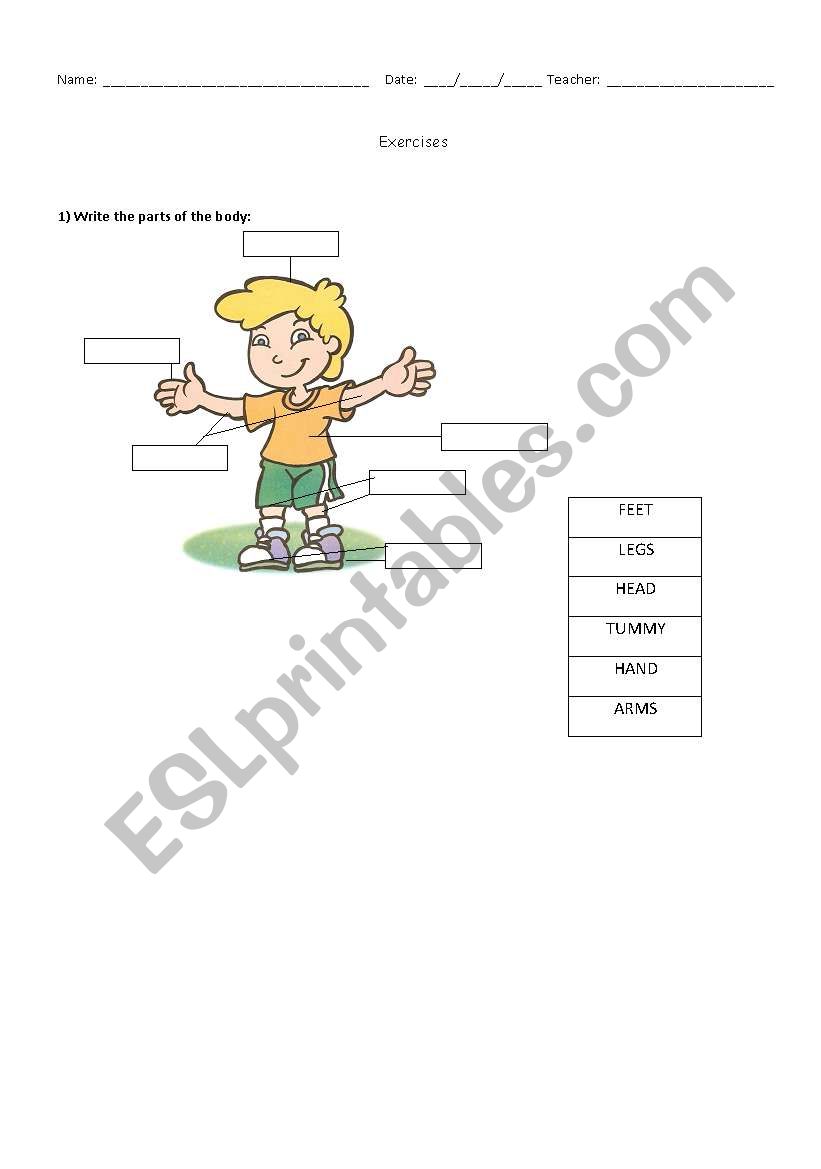 Parts of the body worksheet