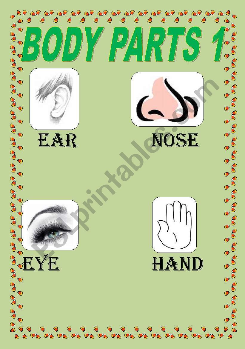 BODY PARTS worksheet