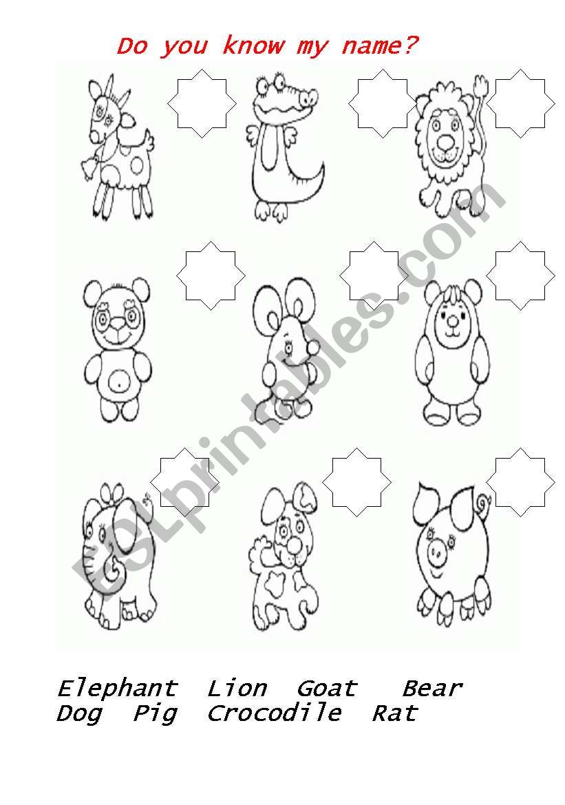 Animals worksheet