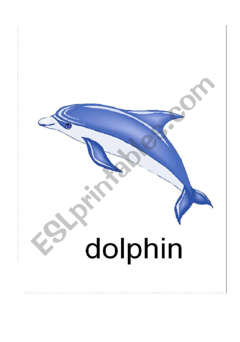 Sea Animals Flashcards worksheet