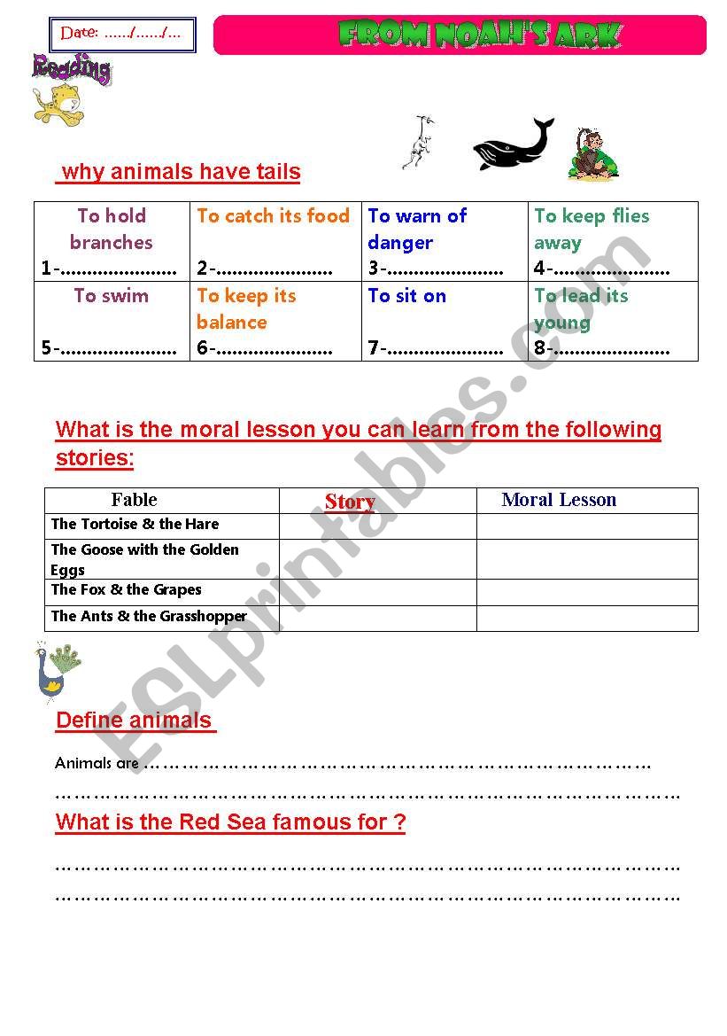 from Noahs ark worksheet