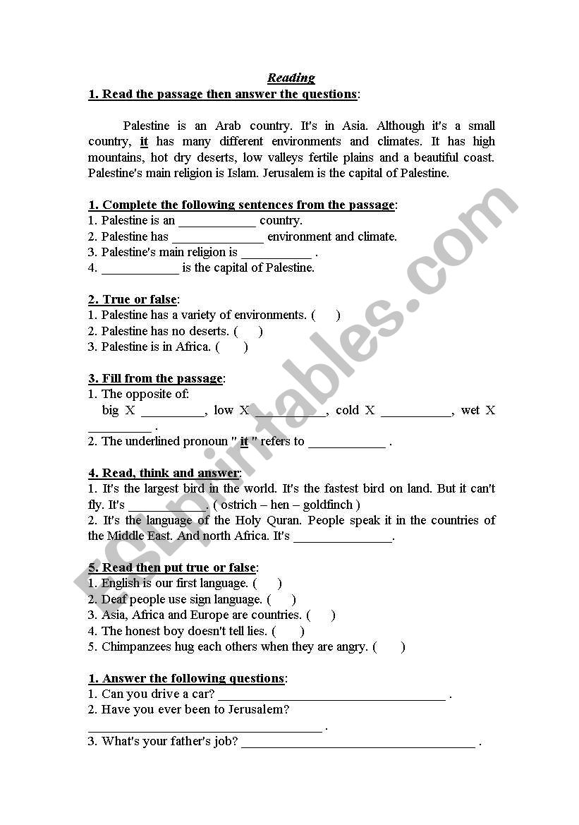 reading worksheet