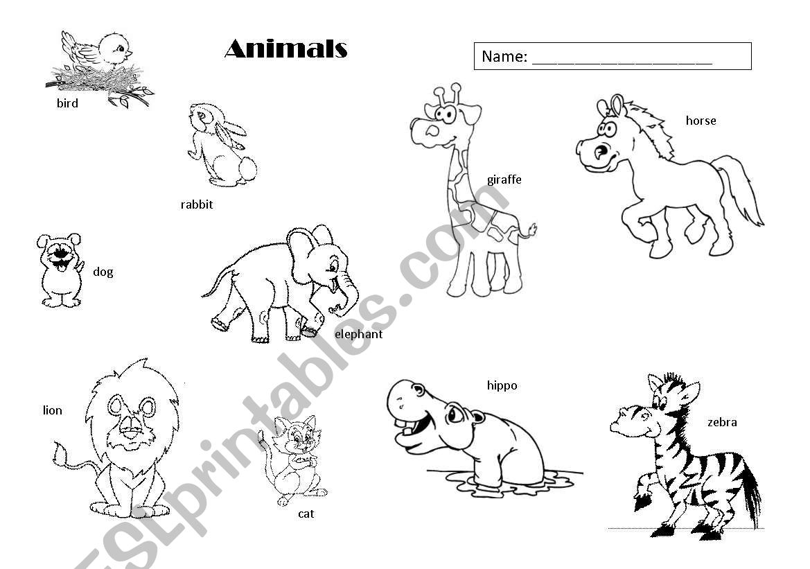 Animals worksheet