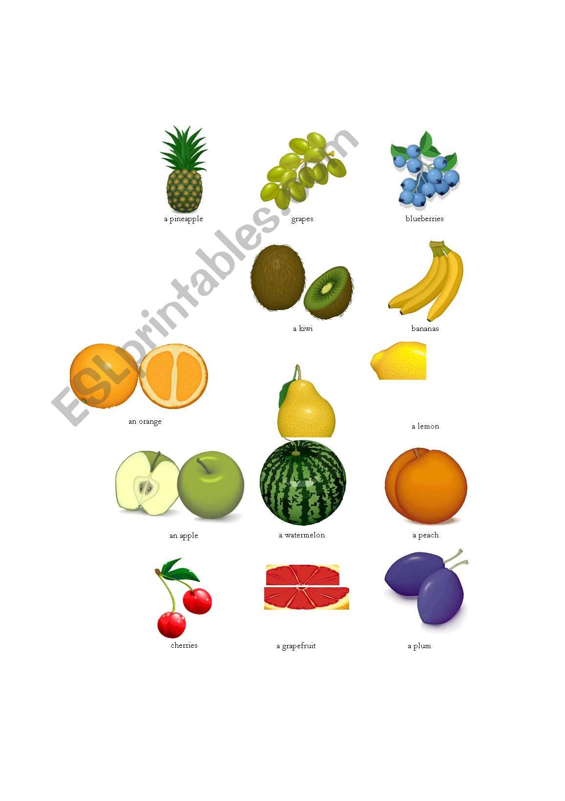 Fruit worksheet