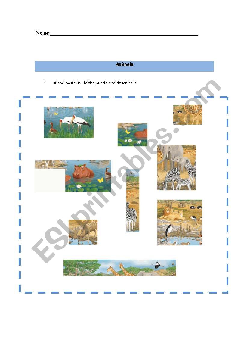 Worksheet - Animals worksheet