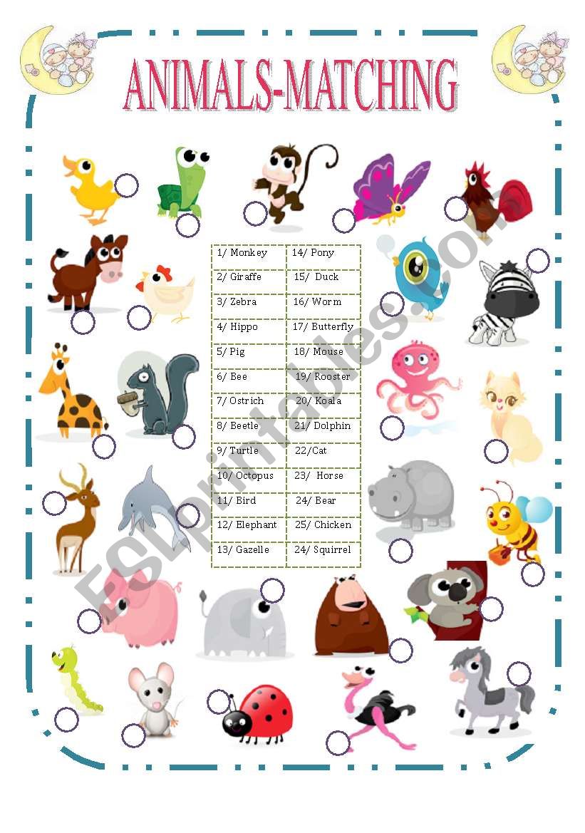 Animals-Matching (1/2) worksheet