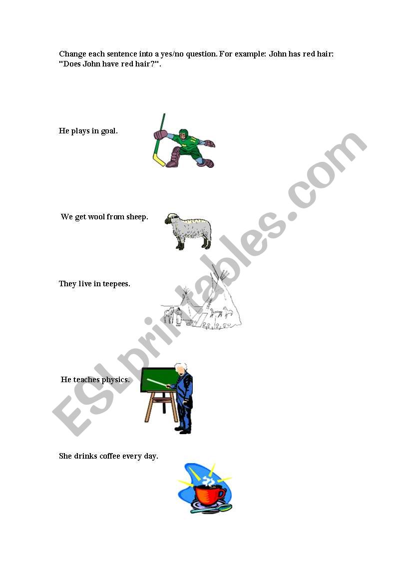yes/no questions worksheet