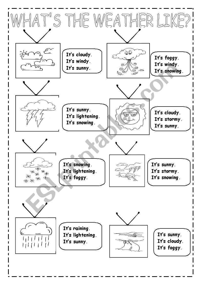 WHATS THE WEATHER LIKE? worksheet