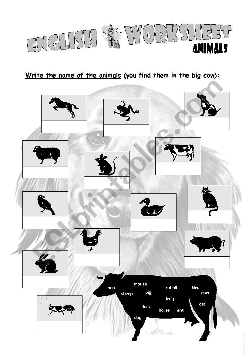 ANIMALS worksheet