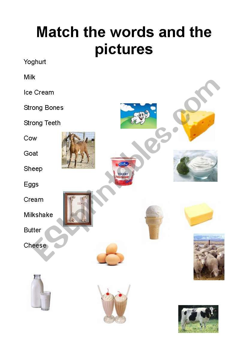 Match The Dairy Products  worksheet