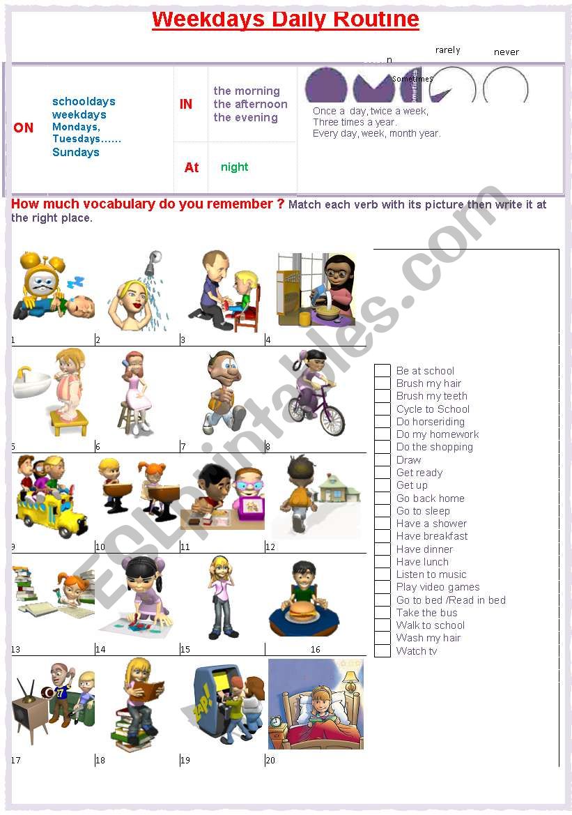 Schooldays daily routine worksheet