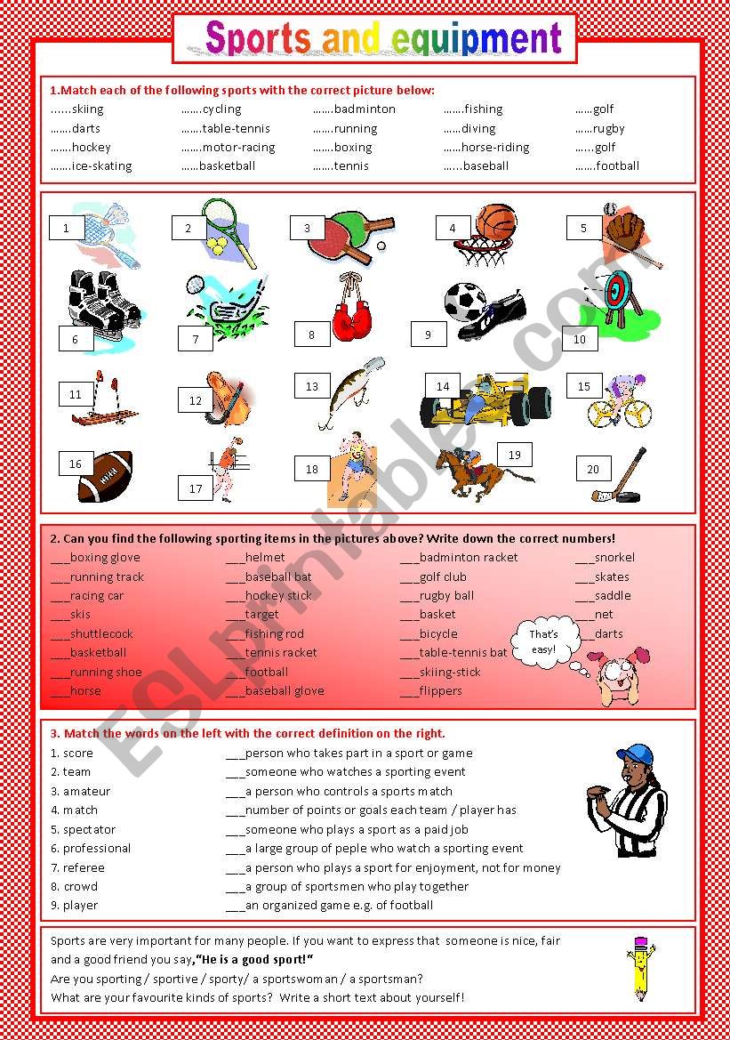 sports and equipment worksheet