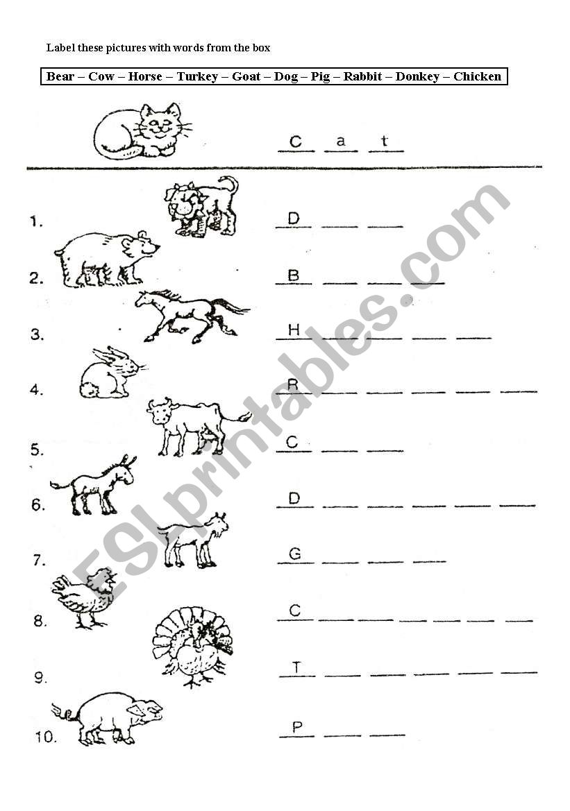 Animals worksheet