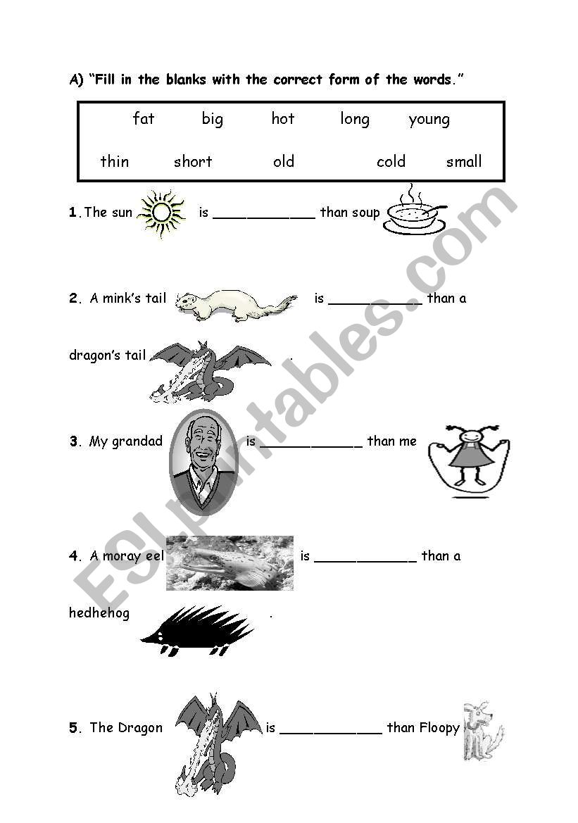 test for students worksheet