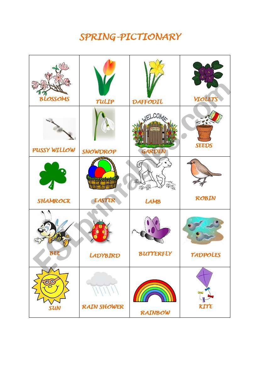 Spring Pictionary worksheet