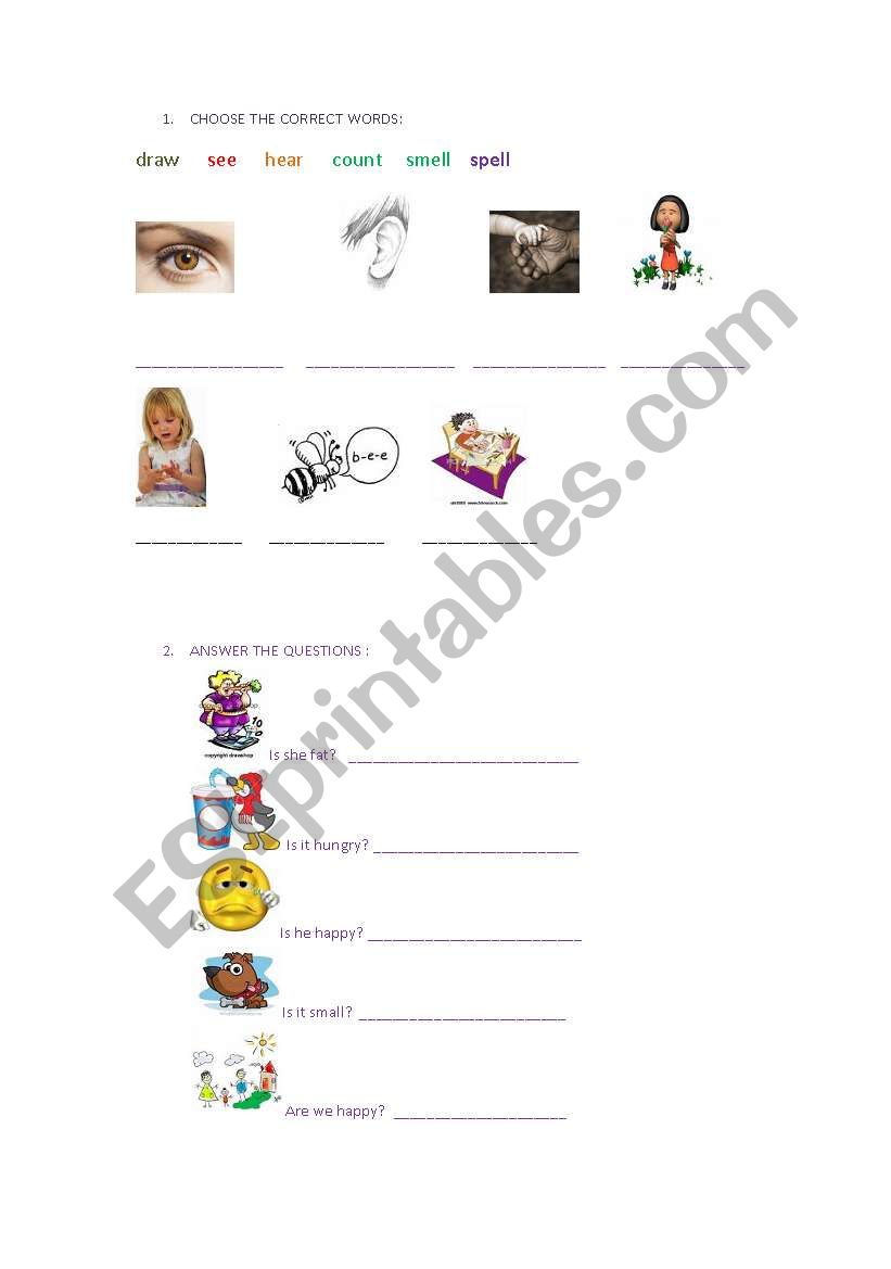 Young learners activities worksheet