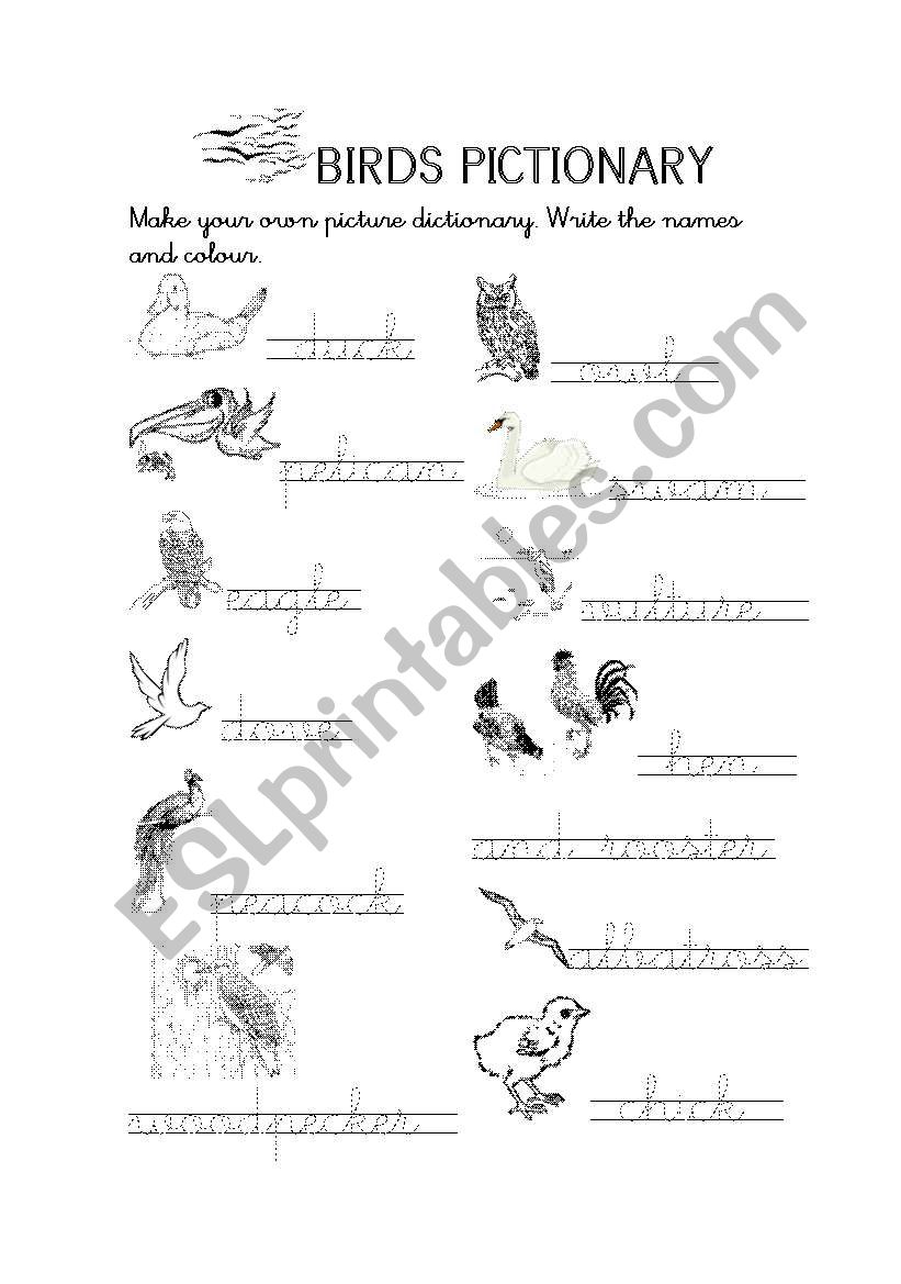 Birds Pictionary worksheet