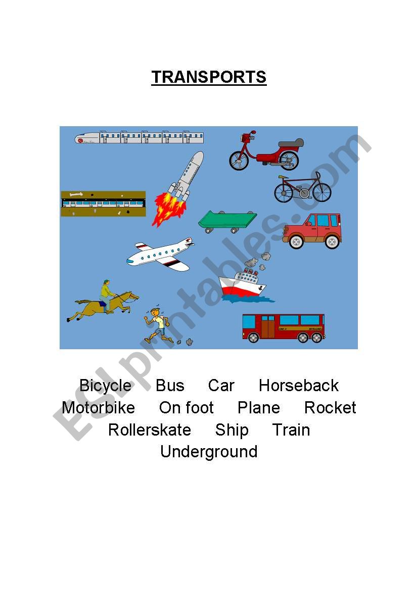 Transports worksheet