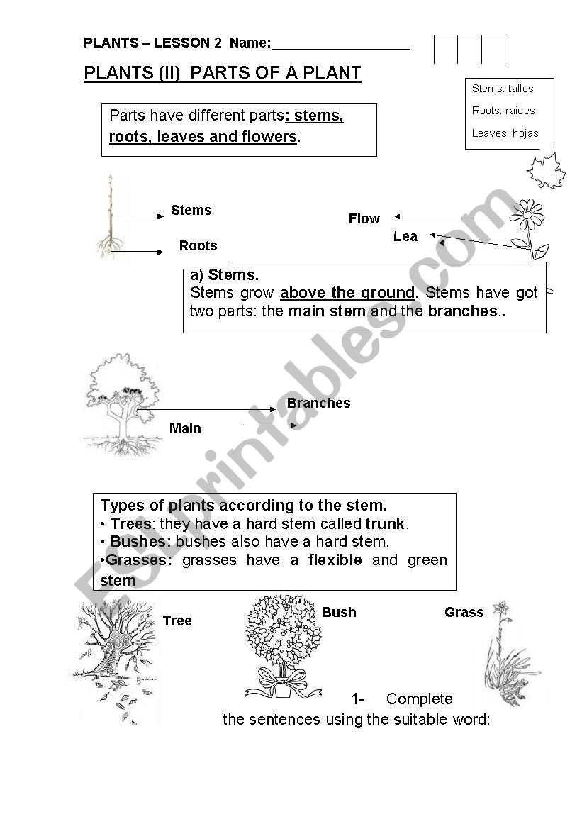My favourite living things worksheet