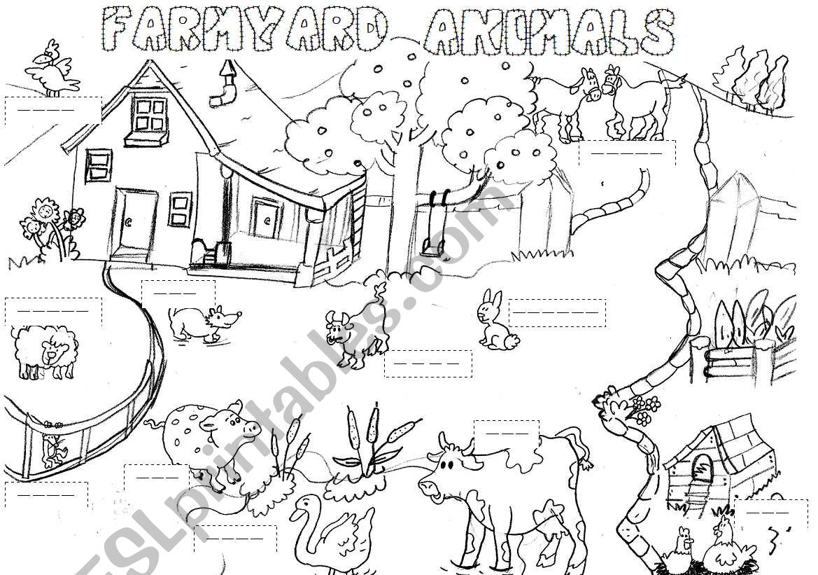 farmyard animals worksheet worksheet