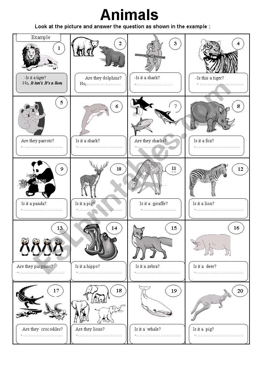animals and the verb to be practice. and do you like questions. 2pages and answer key included