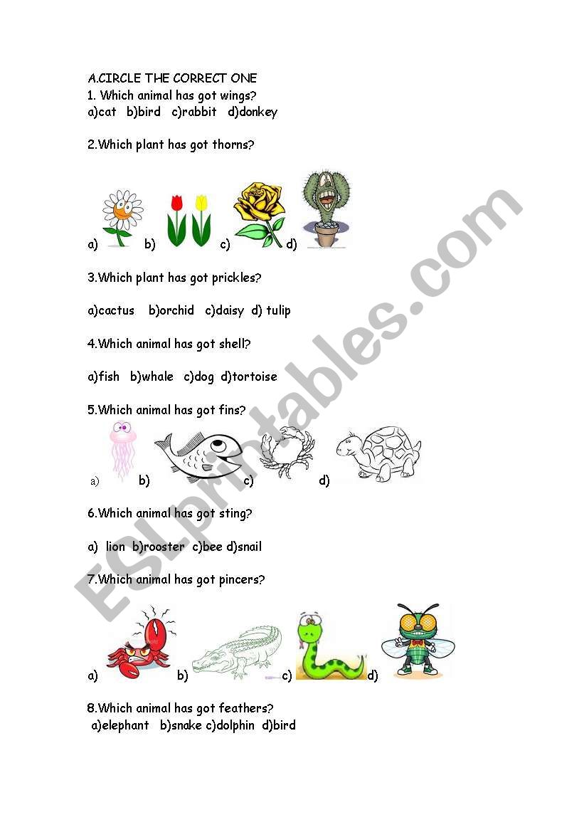 ANIMALS AND PLANTS worksheet
