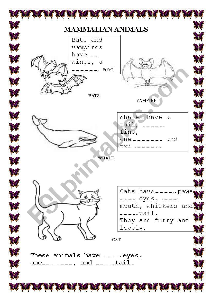 Mammalian Animals worksheet