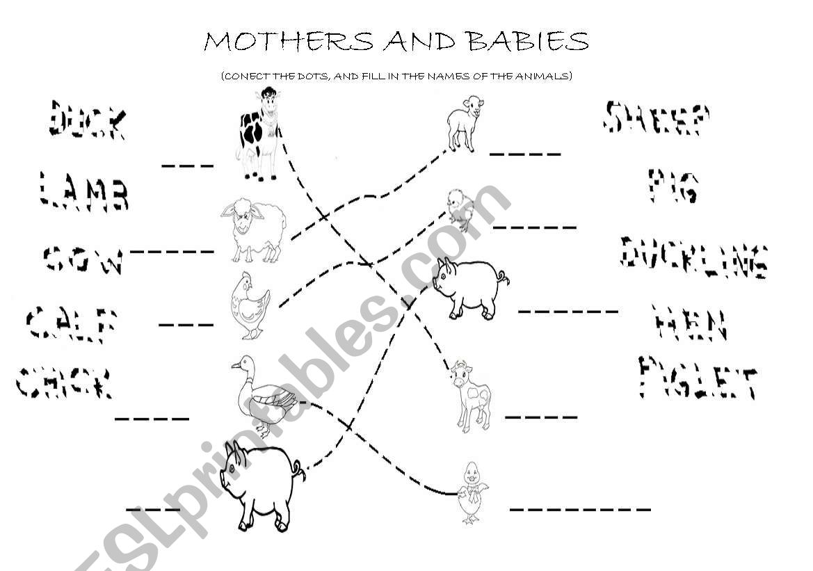 Mothers and babies (farm animals)