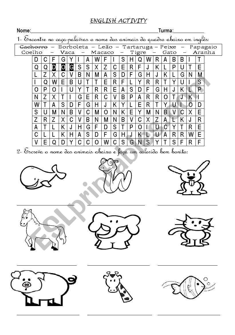 Animal Activity worksheet