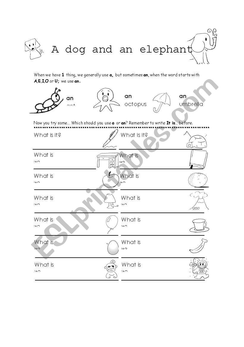 A dog and an elephant worksheet